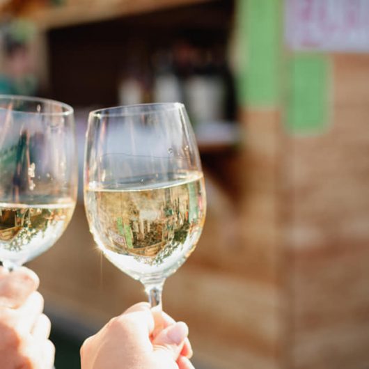 304900124_546816787241741_8724117961721672585_n